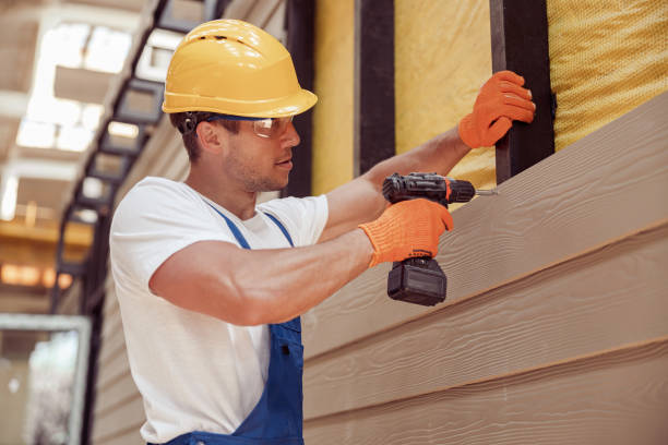 Best Siding Maintenance  in Webberville, MI